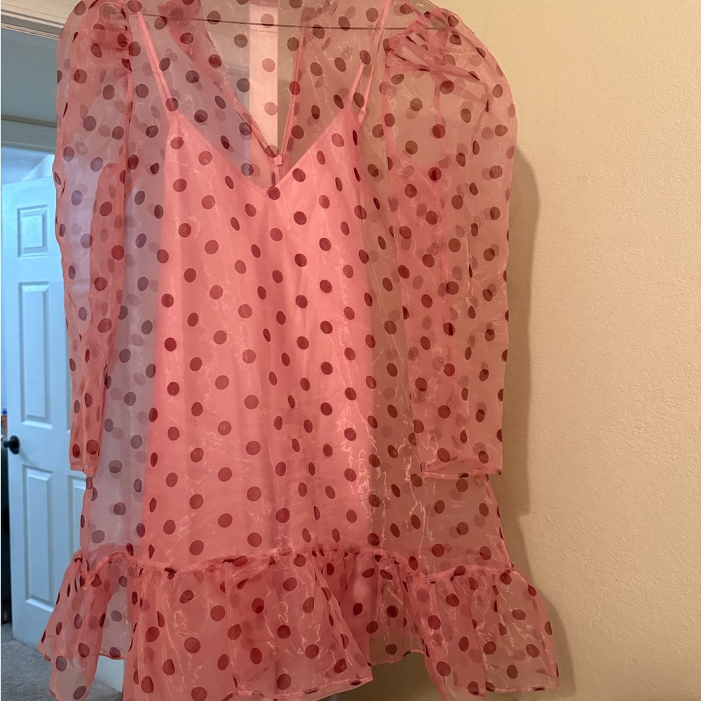 Likely Pink Ruffled Sheer Long Sleeve Blouse